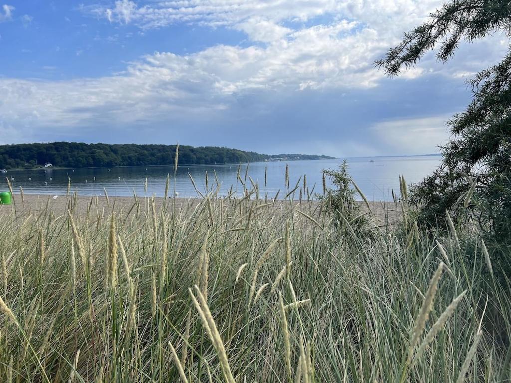 'Kapitaenslounge' Vollsanierte Fewo Mit Blick Auf Die Flensburger Foerde Харрисле Экстерьер фото