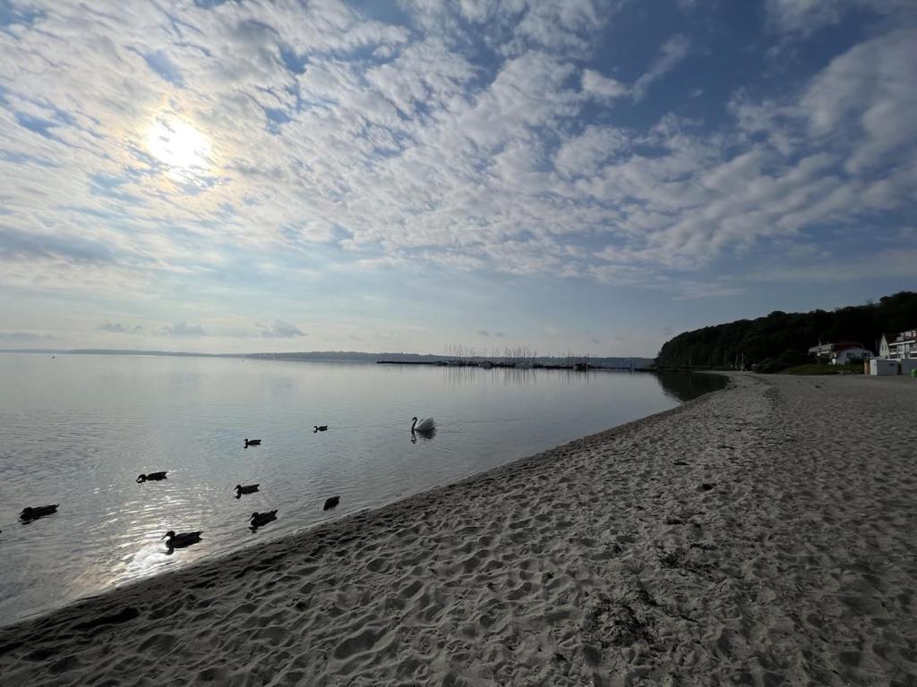 'Kapitaenslounge' Vollsanierte Fewo Mit Blick Auf Die Flensburger Foerde Харрисле Экстерьер фото